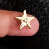 1 (12) Estrella