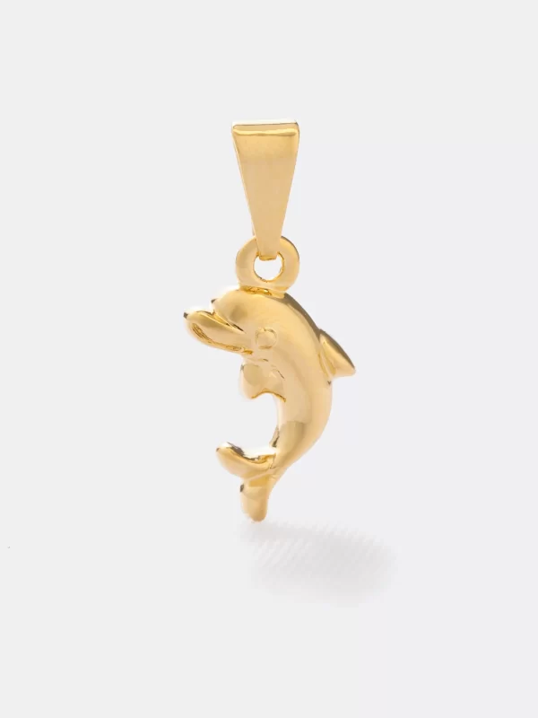 Dolphin