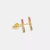 PERFIL - 2025-05-23T103334.084 Rainbow Line